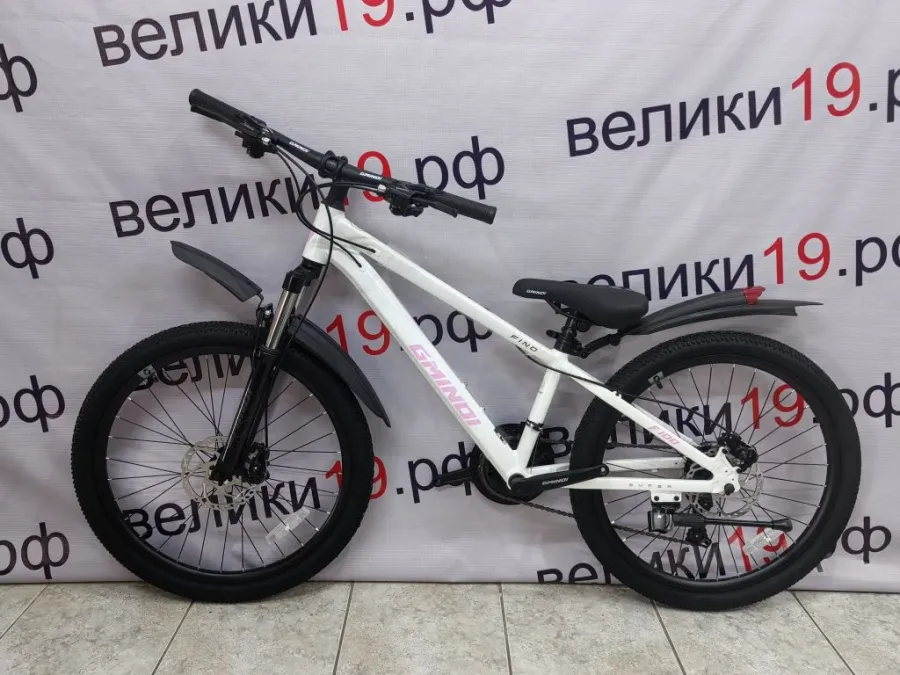 Велосипед  24 - F100