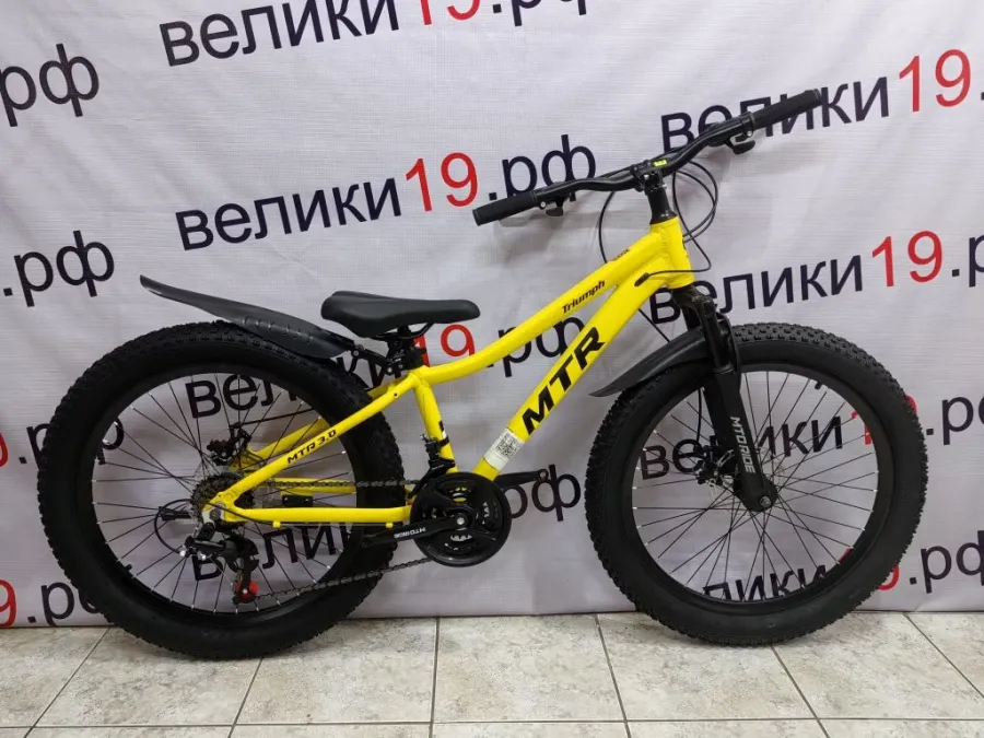 Велосипед Triumf 24
